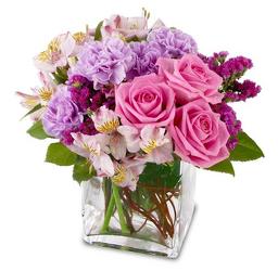 Lovely Lavender from Clifford's where roses are our specialty