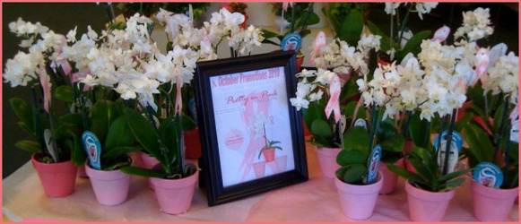 Orchid Plants - Help find a cure from Clifford's where roses are our specialty
