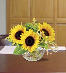 Sunny  Sunflowers from Clifford's where roses are our specialty