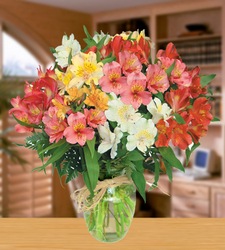 Kaleidoscope from Clifford's where roses are our specialty