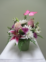 Summer Breeze from Clifford's where roses are our specialty