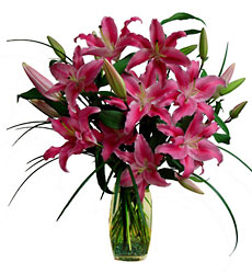 Fragrance of Spring from Clifford's where roses are our specialty