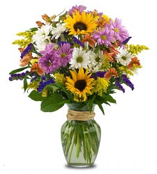 Sunflower Surprise from Clifford's where roses are our specialty