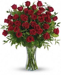 36 Roses in vase from Clifford's where roses are our specialty