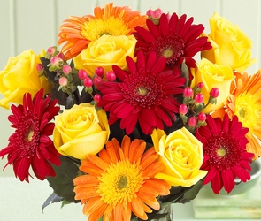 Best Wishes Rose and Daisy Bouquet from Clifford's where roses are our specialty
