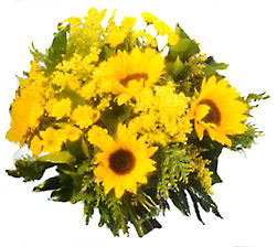 Bouquet of Sunshine from Clifford's where roses are our specialty