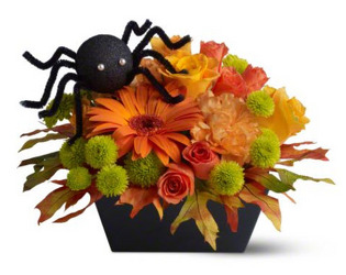  from Clifford's where roses are our specialty