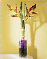 FTD Tropic Sun Bouquet from Clifford's where roses are our specialty