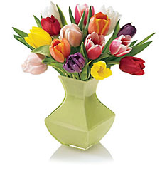 FTD Spring Tulip Bouquet from Clifford's where roses are our specialty
