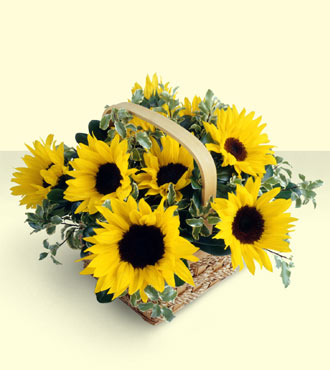 Sunflower Basket from Clifford's where roses are our specialty