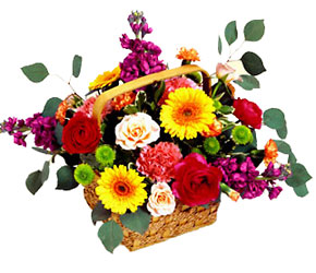 Razzle-Dazzle Bouquet from Clifford's where roses are our specialty