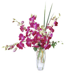 Pacific Paradise Arrangement from Clifford's where roses are our specialty