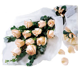 Delightful Dozen-Wrapped Roses from Clifford's where roses are our specialty