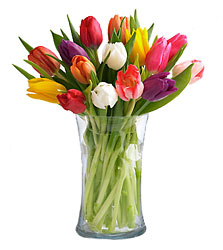 Mixed Stem Tulip Bouquet from Clifford's where roses are our specialty