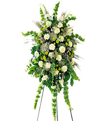 Splendor Standing Spray from Clifford's where roses are our specialty