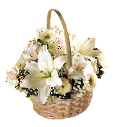 Divinity Basket from Clifford's where roses are our specialty