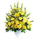 Glowing Ray Arrangement from Clifford's where roses are our specialty