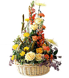 FTD Sunshine Splendor Arrangement from Clifford's where roses are our specialty