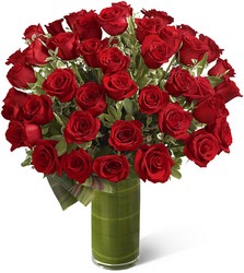 48 Roses in vase from Clifford's where roses are our specialty