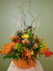 Pumpkin Surprise from Clifford's where roses are our specialty