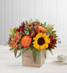 Harvest Cube Thanksgiving from Clifford's where roses are our specialty
