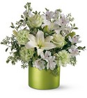 B17-3604 from Clifford's where roses are our specialty