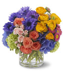 Spring Sonnet
