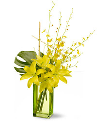 Touch of Tranquility from Clifford's where roses are our specialty