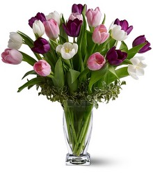 Heavenly Holland from Clifford's where roses are our specialty
