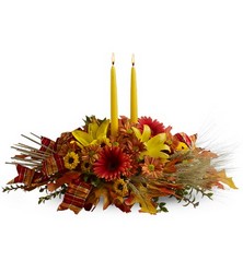 COUNTRY HARVEST from Clifford's where roses are our specialty