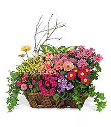 Deluxe European Garden Basket from Clifford's where roses are our specialty