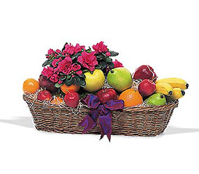 Plant and Fruit Basket from Clifford's where roses are our specialty
