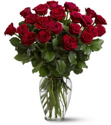 24  Roses in vase from Clifford's where roses are our specialty