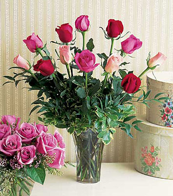 A Dozen Multi-colored Roses from Clifford's where roses are our specialty