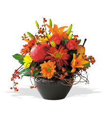 Freshly Fall from Clifford's where roses are our specialty